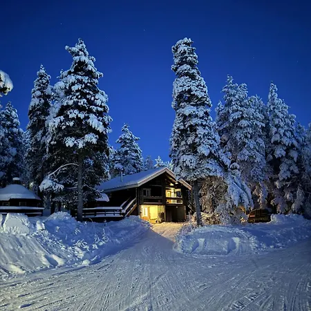 Appartement Cosy Near Levi Village